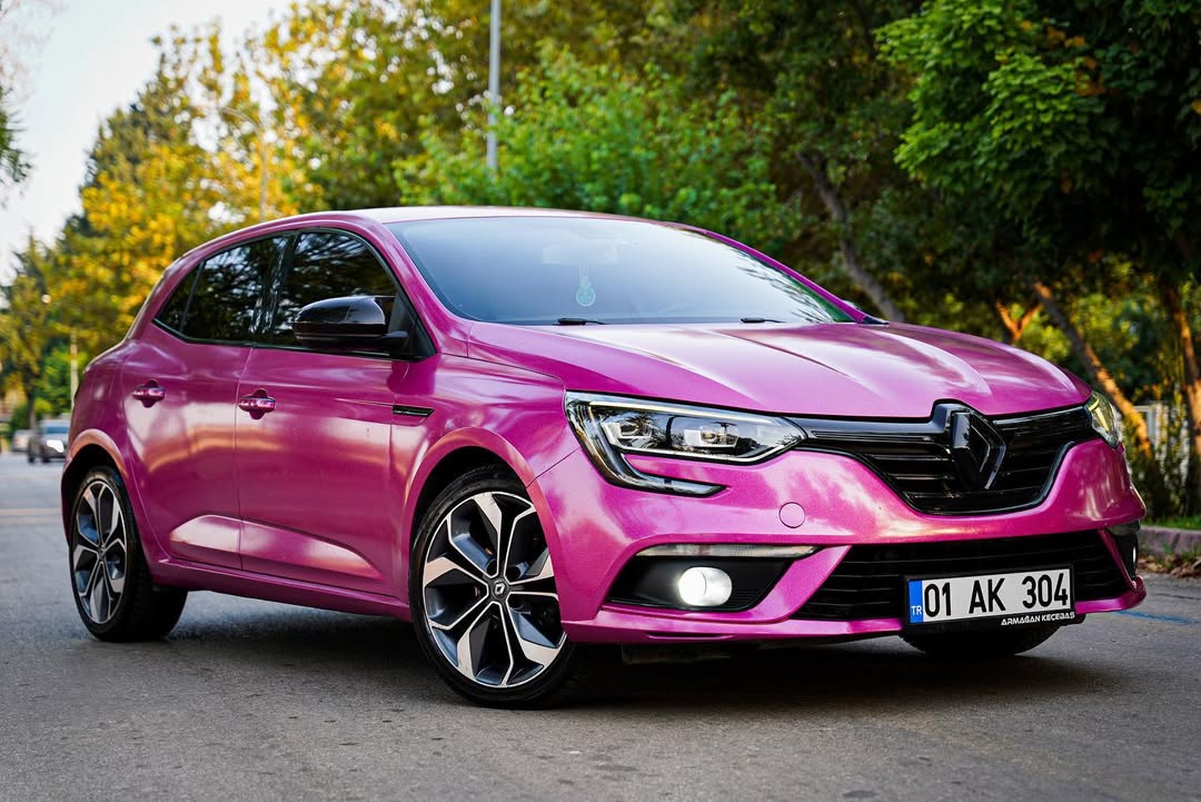 Ranoult Clio Seramik Kaplama/ Renk Kaplama/Panjur Boyama/App Plaka